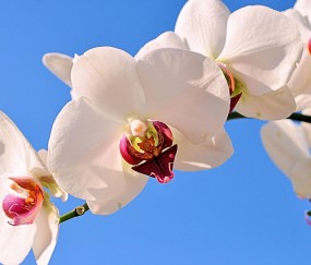 绥化正规助孕捐卵机构，附正规捐卵机构报名表！